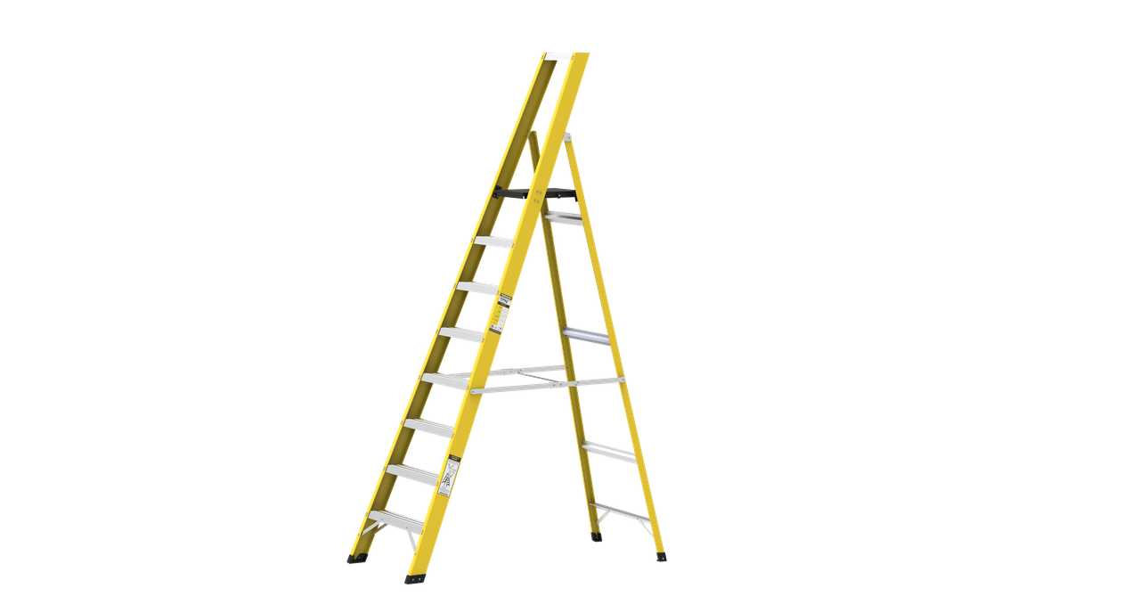 Maruti Suzuki Project